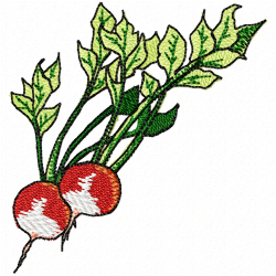 Radish Embroidery Design 10 Radish Embroidery Design 10